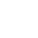 Result Icon