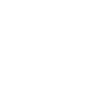 Result Icon