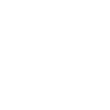 Result Icon