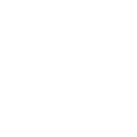 Result Icon