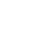 Result Icon